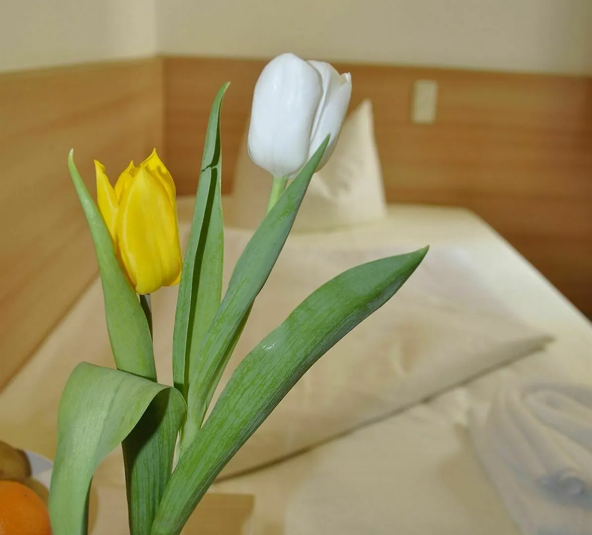 Hotel Budapester Hof Hamburg